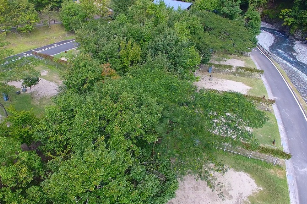 青川峡キャンピングパーク